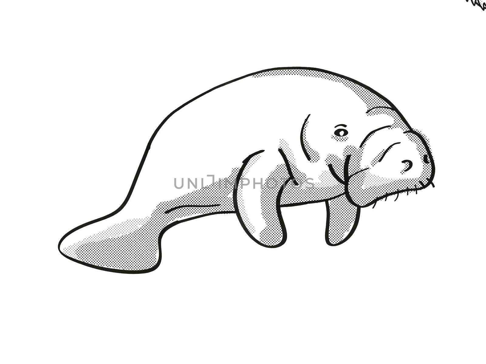 Manatee or sea cow Endangered Wildlife Cartoon Mono Line Drawing by patrimonio