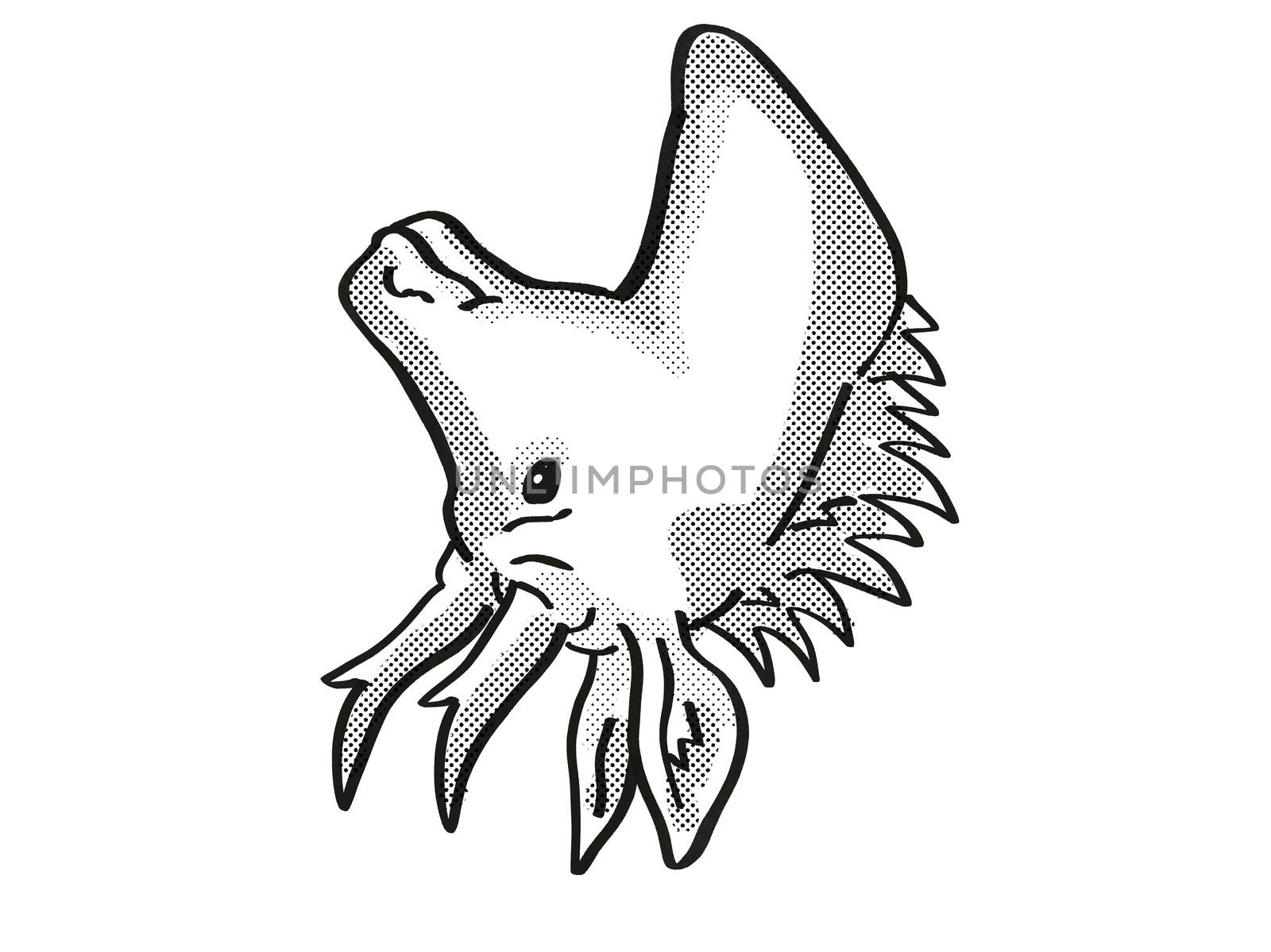 Retro cartoon mono line style drawing of head of a pronghorn antelope, the fastest hoofed animal in North America, an endangered wildlife species on isolated white background done in black and white.