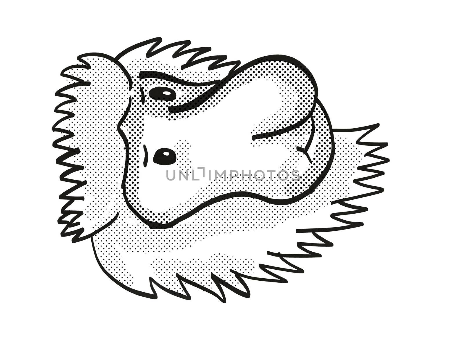 Proboscis Monkey Endangered Wildlife Cartoon Mono Line Drawing by patrimonio