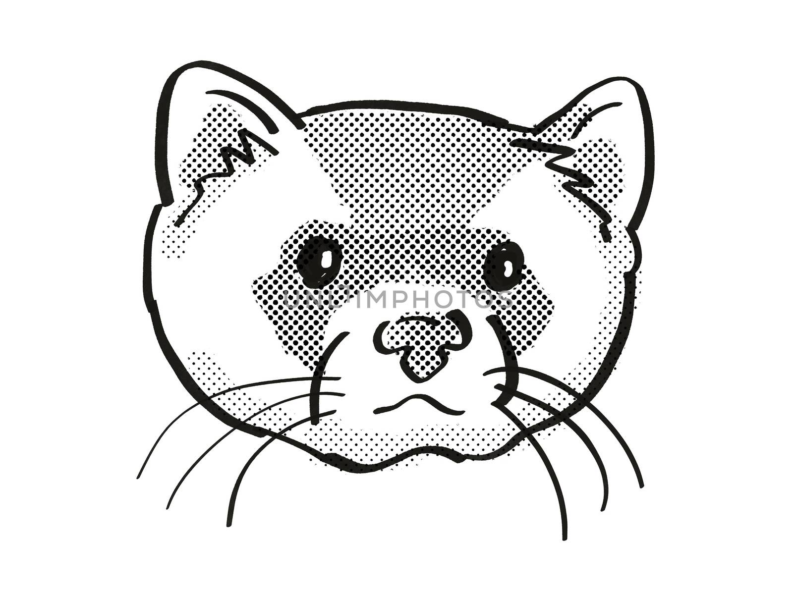 Retro cartoon mono line style drawing of head of a black-footed ferret, American polecat or prairie dog hunter and an endangered wildlife species on isolated white background done in black and white.