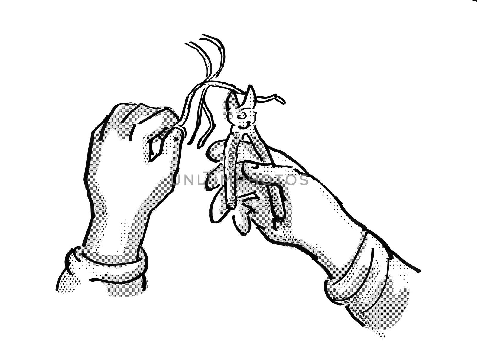 Retro cartoon style drawing of an electrician hand with pliers cutting electrical wire on isolated white background done in black and white