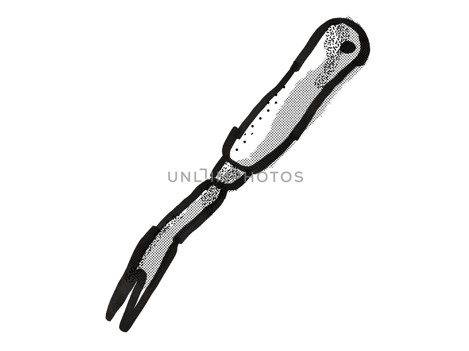 Retro cartoon style drawing of a hand weeder , a garden or gardening tool equipment on isolated white background done in black and white