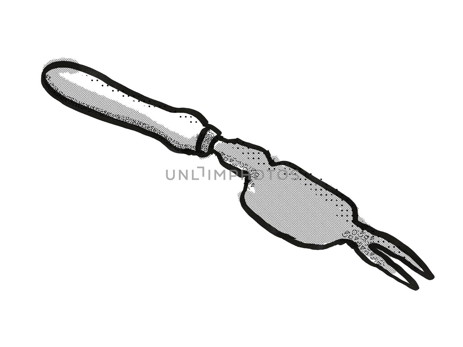 Retro cartoon style drawing of a Weed Popper or hand weeder , a garden or gardening tool equipment on isolated white background done in black and white