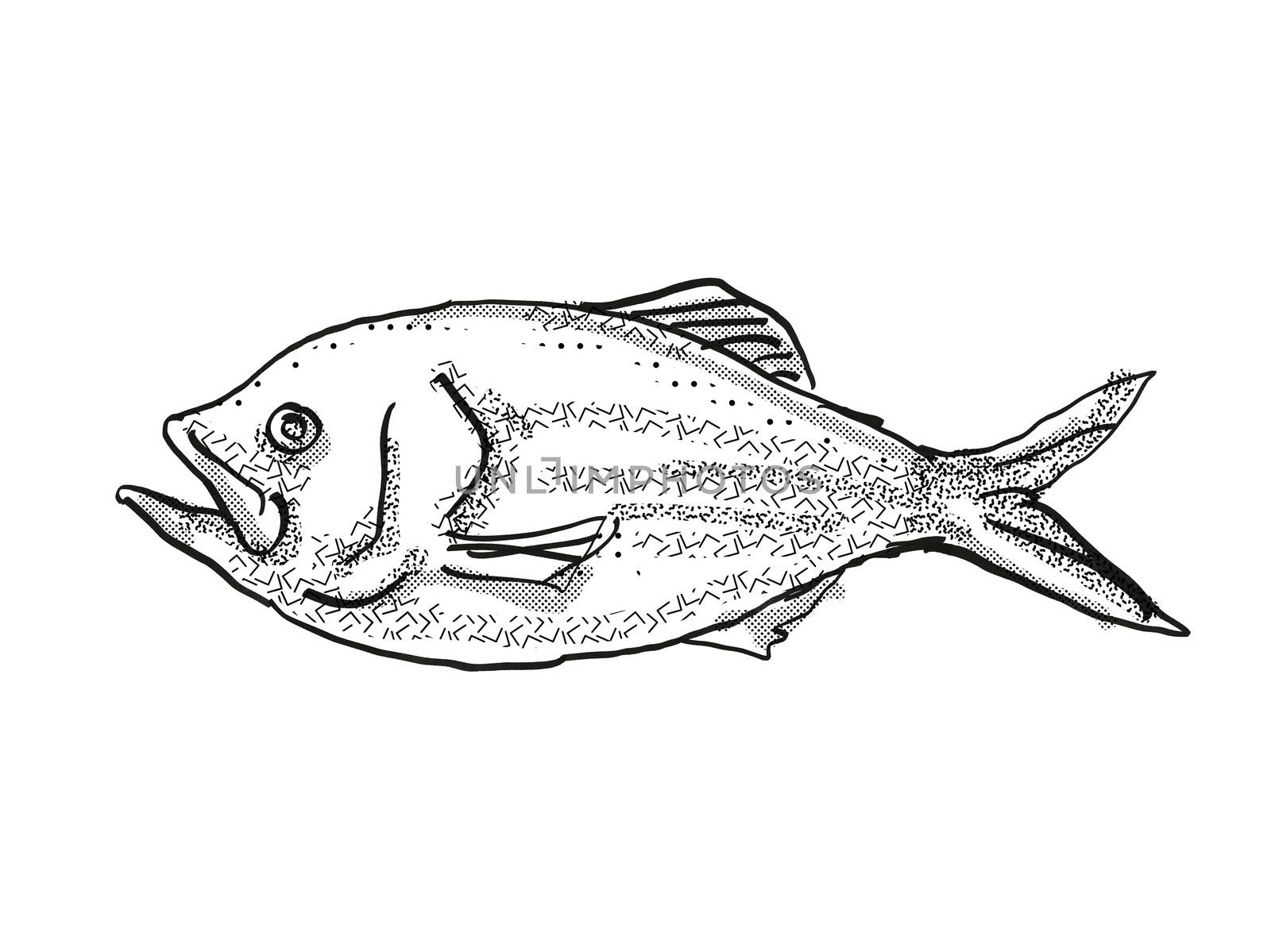 Retro cartoon style drawing of a golden snapper , a native New Zealand marine life species viewed from side on isolated white background done in black and white