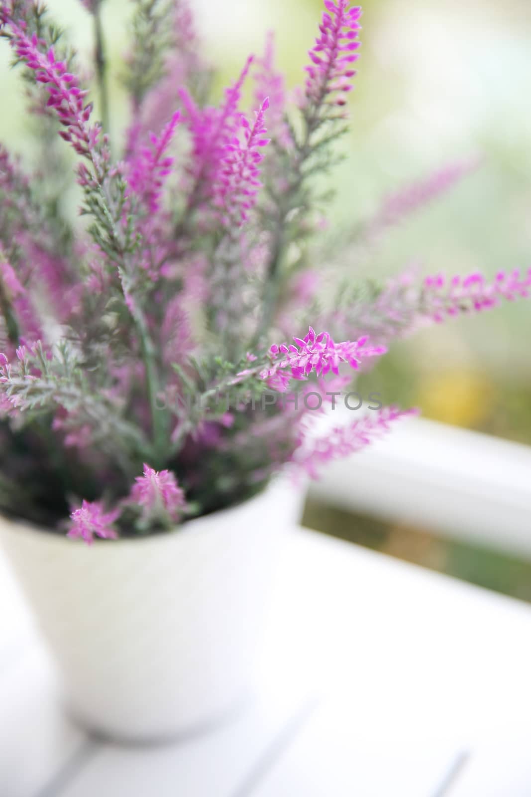 flower in jar