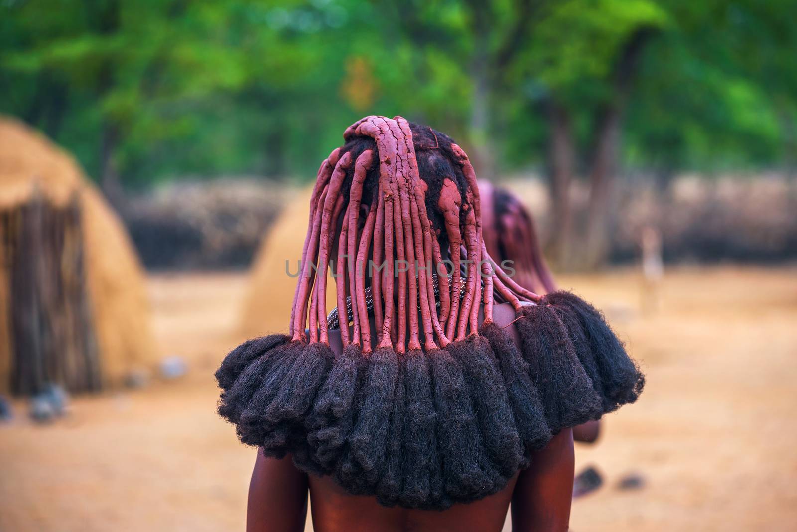 Traditional hairstyle of women in the Himba tribe photographed from behind by nickfox