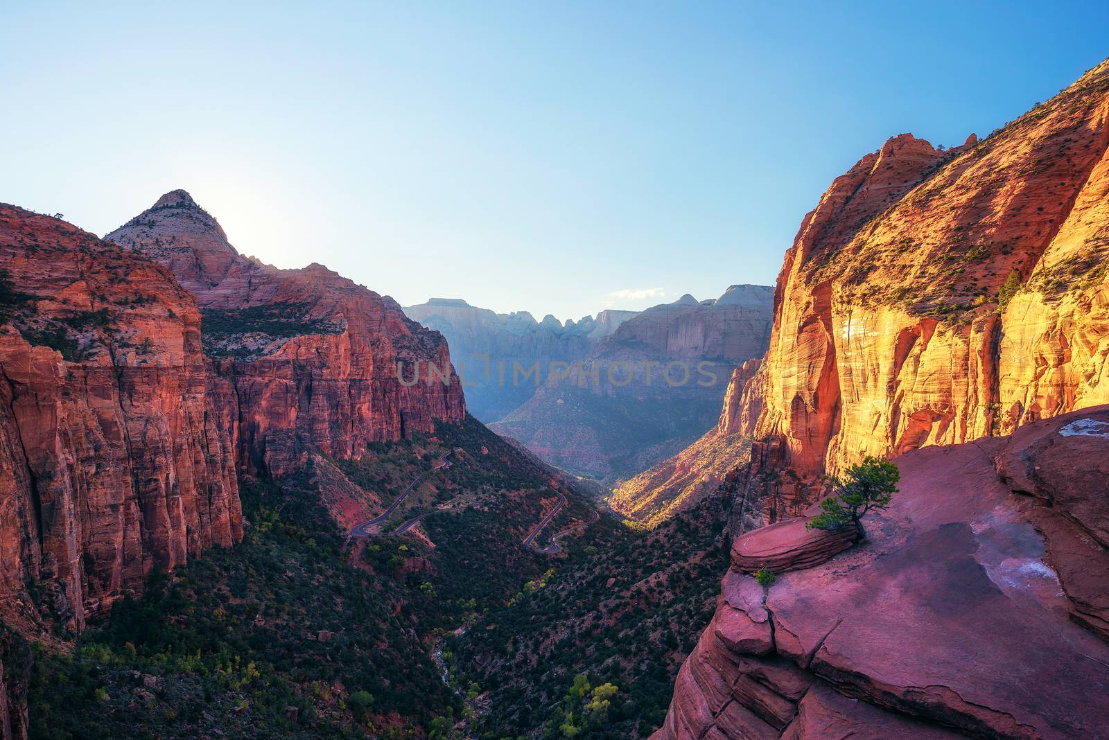 Canyon Overlook at Zion National Park, Utah by nickfox