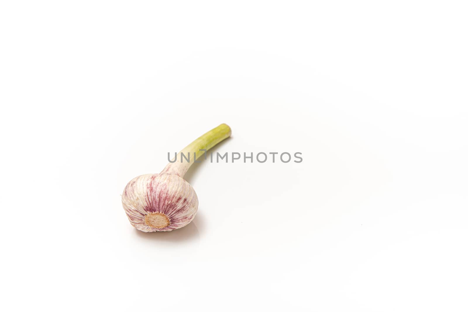 garlic with a stem on a white isolated background with copy space by marynkin