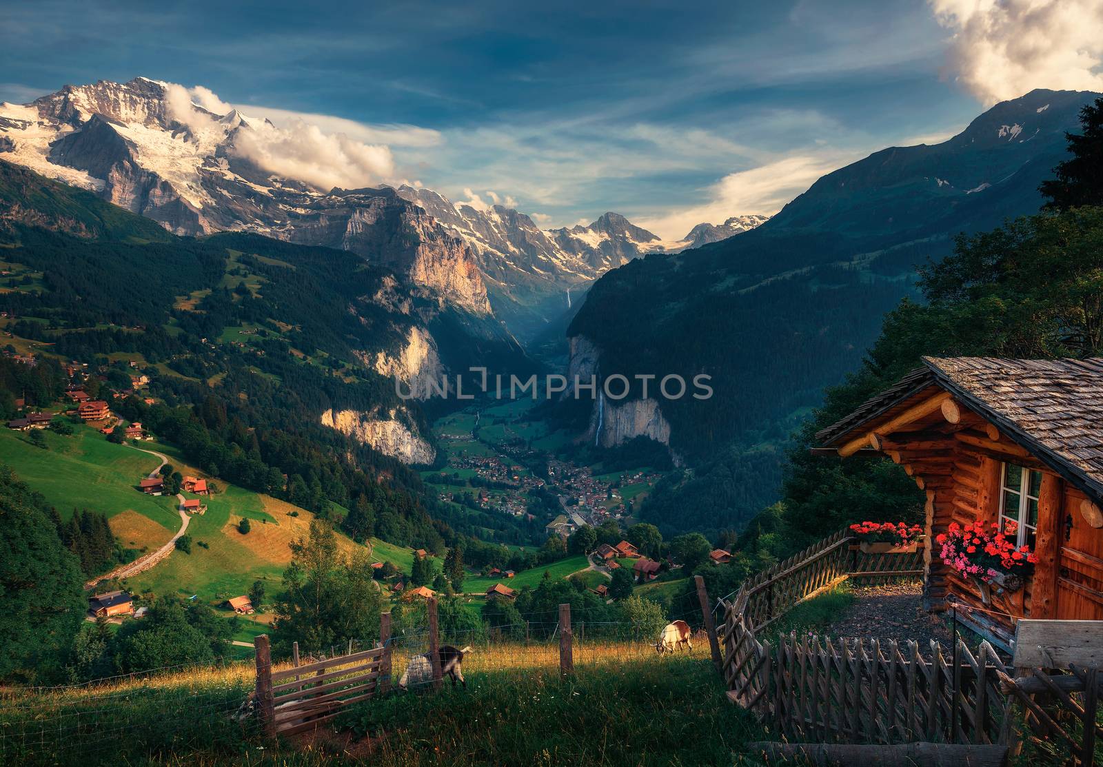 Lauterbrunnen valley in the Swiss Alps viewed from the alpine village of Wengen by nickfox