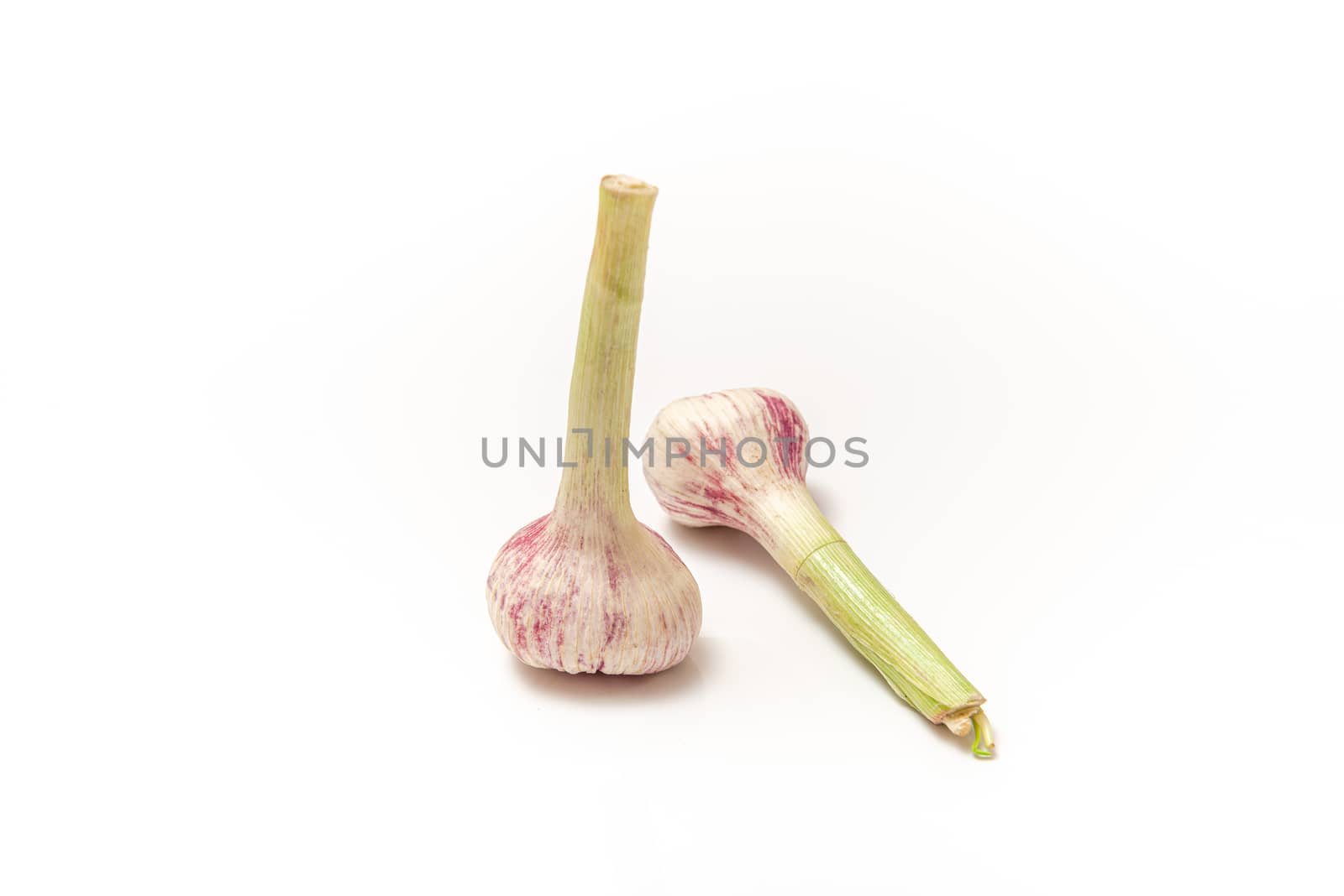 Two garlic with a stem on a white isolated background by marynkin