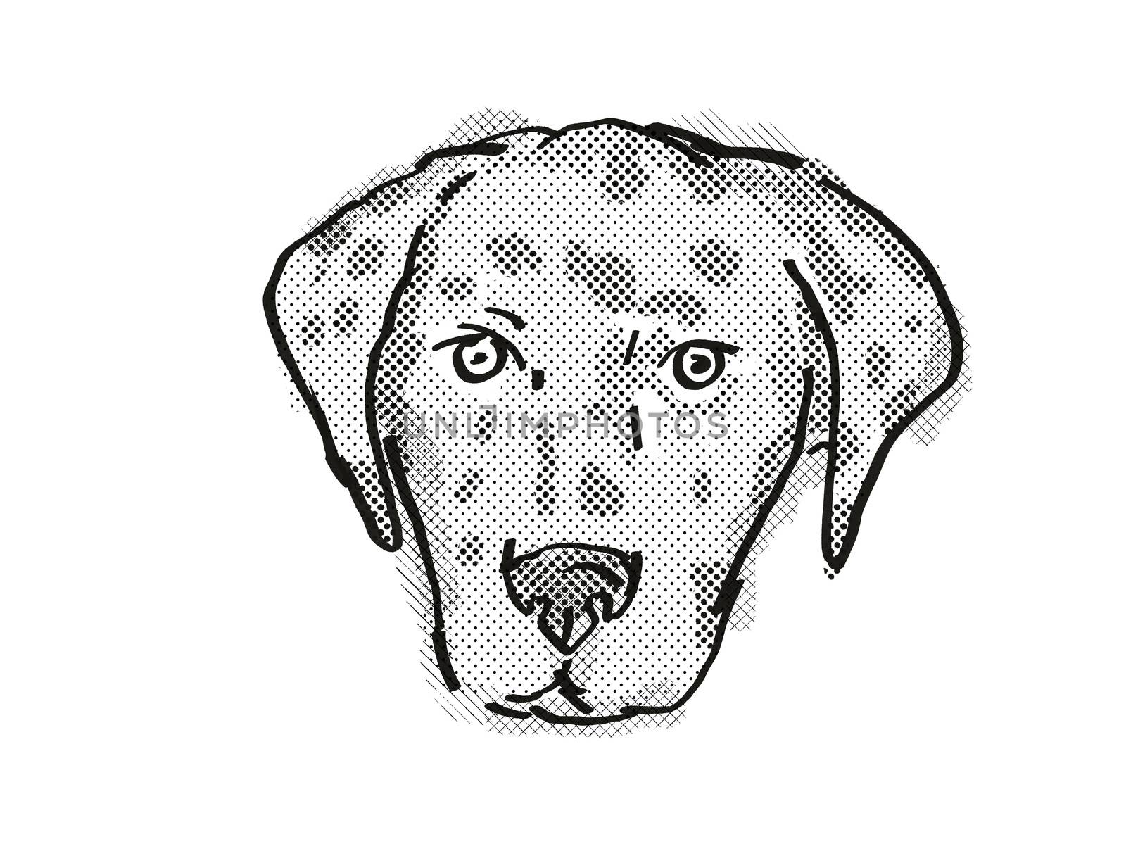 American Leopard Hound Dog Breed Cartoon Retro Drawing by patrimonio