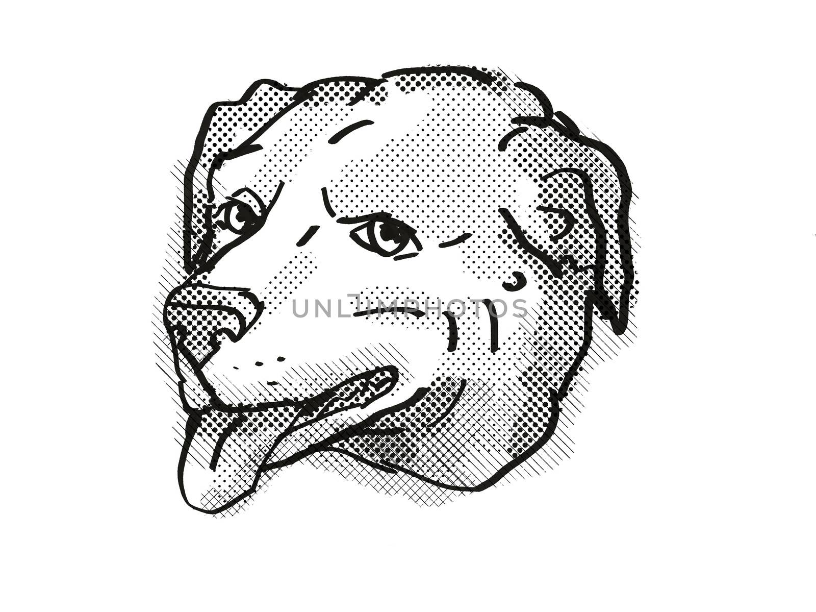 American Pugabull Dog Breed Cartoon Retro Drawing by patrimonio