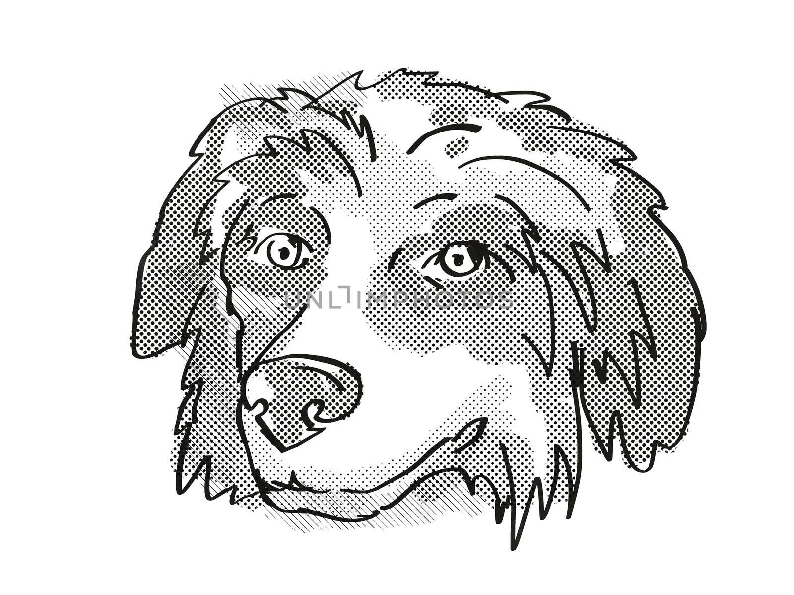 Bernese Mountain Dog Dog Breed Cartoon Retro Drawing by patrimonio