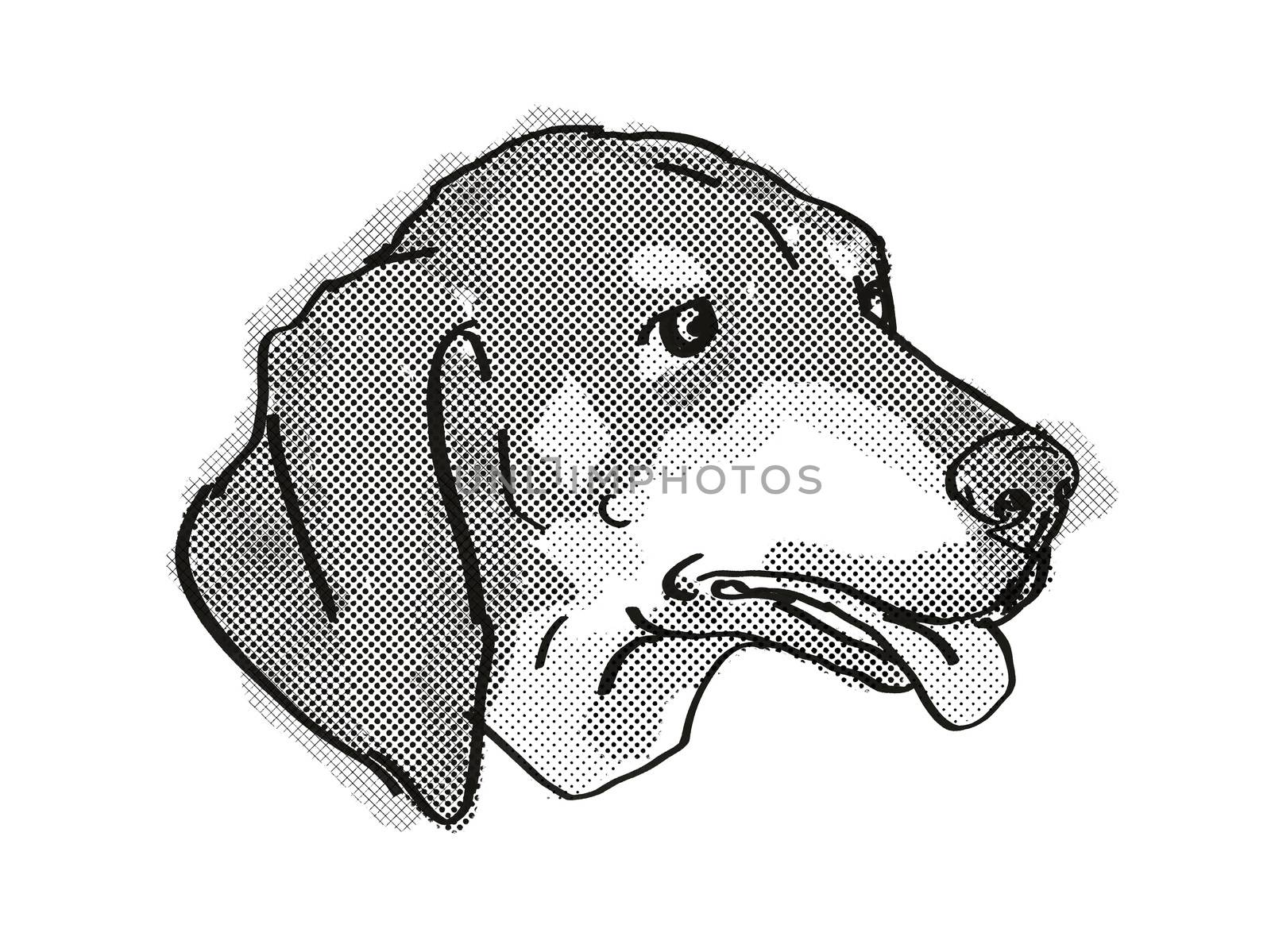  Black and Tan Coonhound Dog Breed Cartoon Retro Drawing by patrimonio