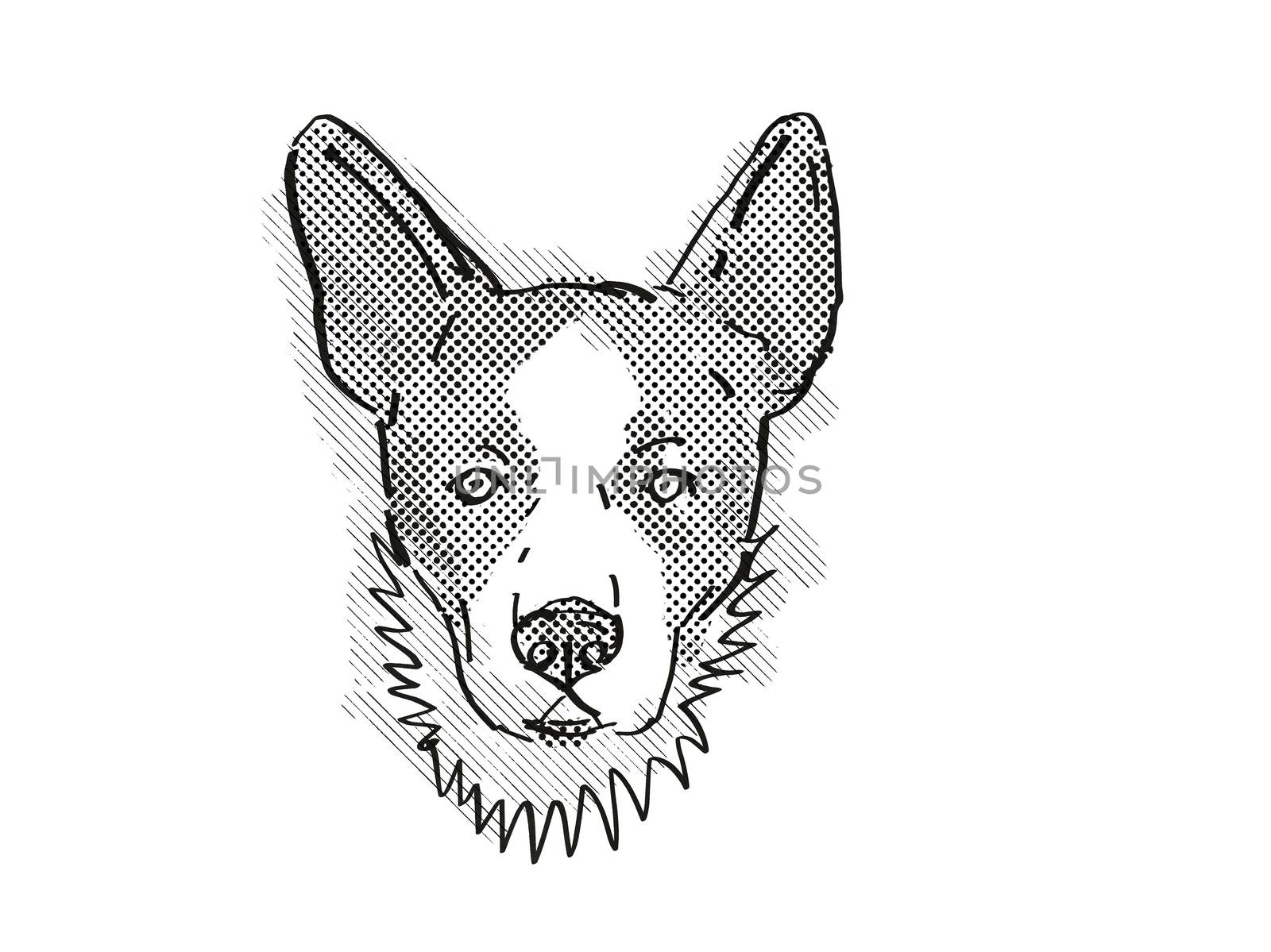 Cardigan Welsh Corgi Dog Breed Cartoon Retro Drawing by patrimonio