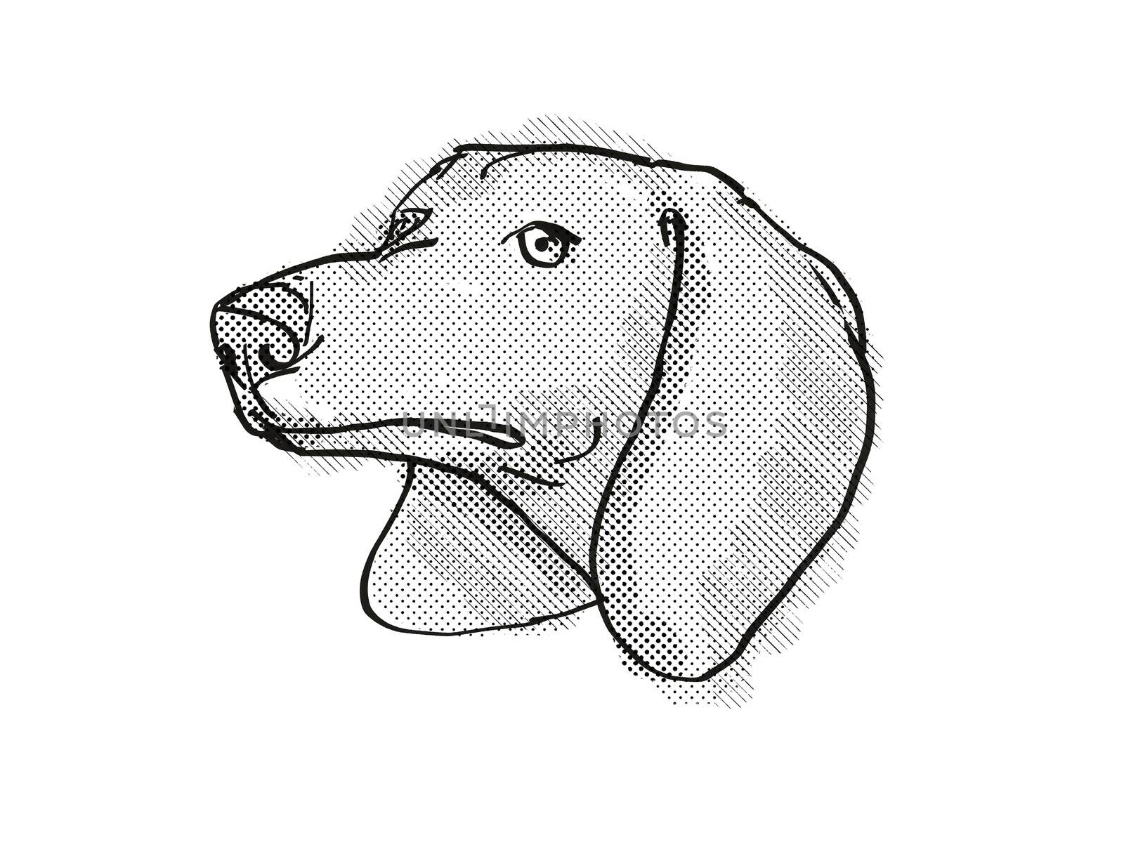 Retro cartoon style drawing of head of a Dachshund, a domestic dog or canine breed on isolated white background done in black and white.