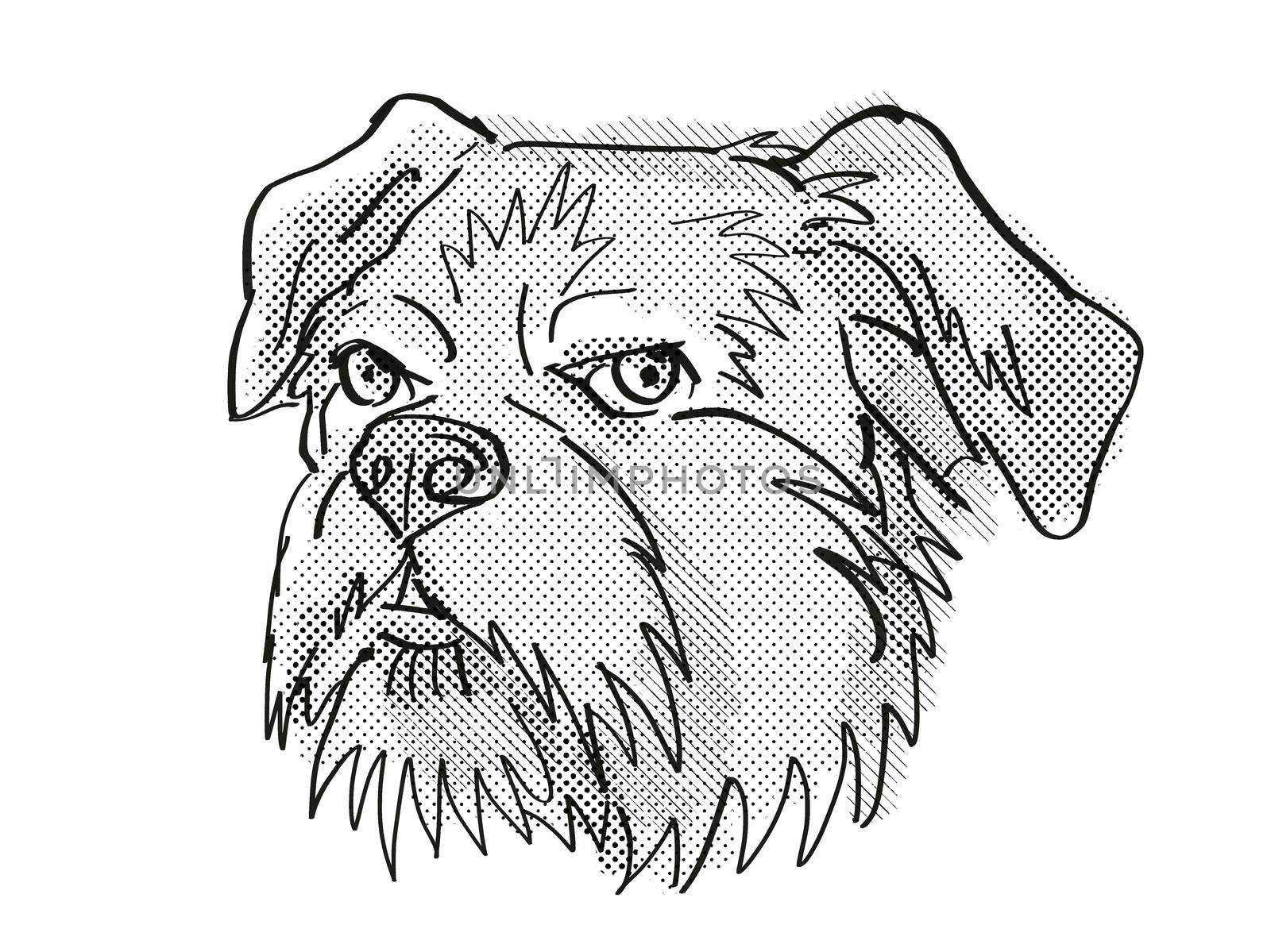 Brussels Griffon Dog Breed Cartoon Retro Drawing by patrimonio