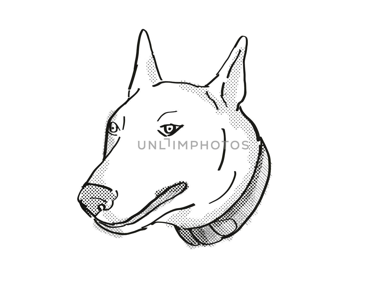 Bull Terrier Dog Breed Cartoon Retro Drawing by patrimonio