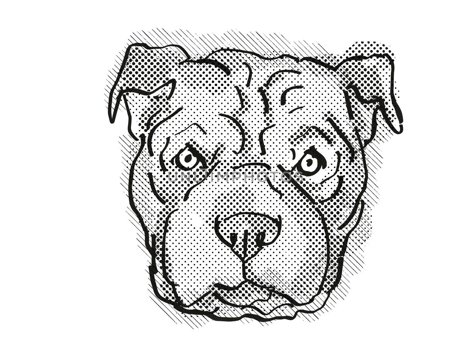 Chinese Shar-Pei Dog Breed Cartoon Retro Drawing by patrimonio