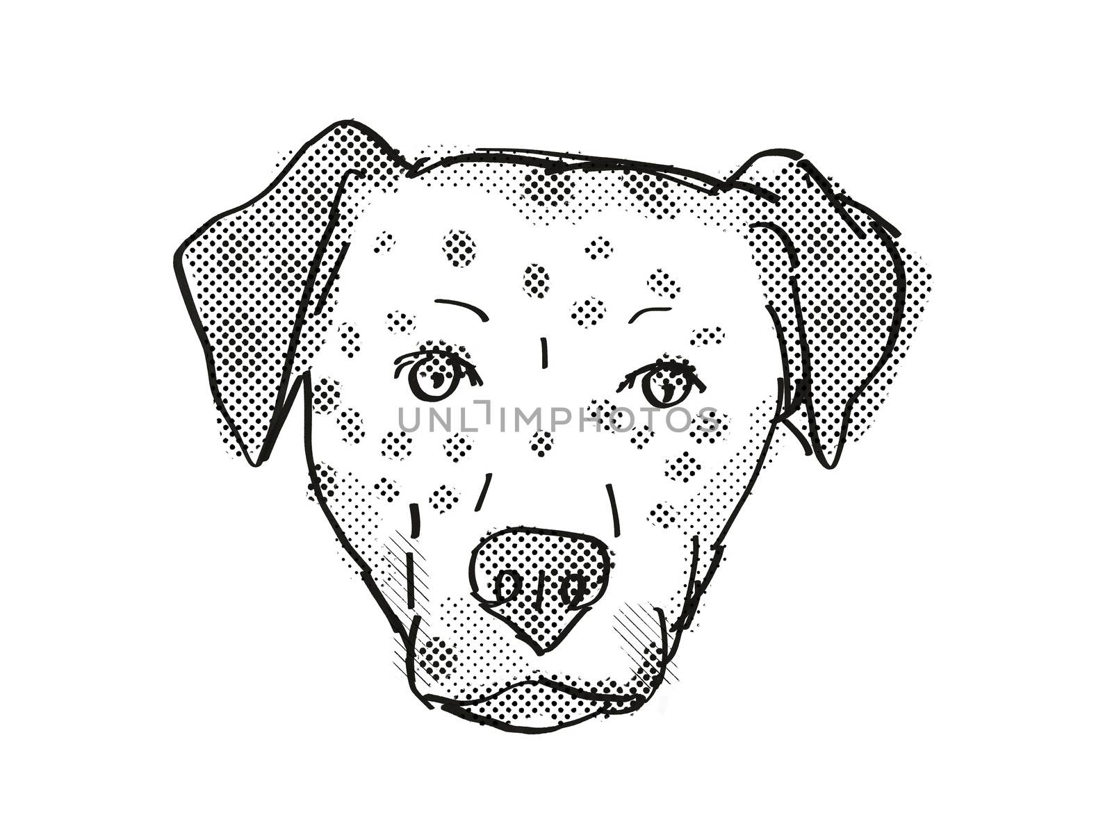 Bullmatian  Dog Breed Cartoon Retro Drawing by patrimonio