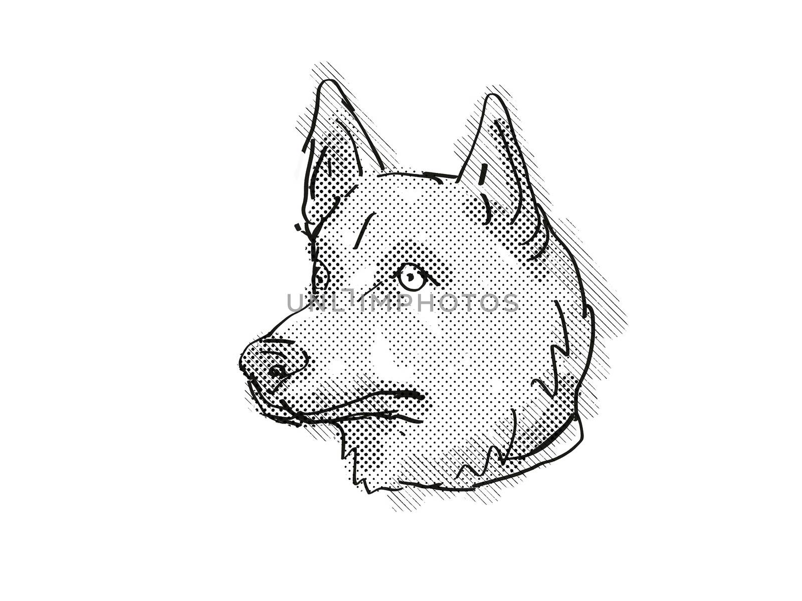 Corgi Inu Mixed Breed Dog Breed Cartoon Retro Drawing by patrimonio