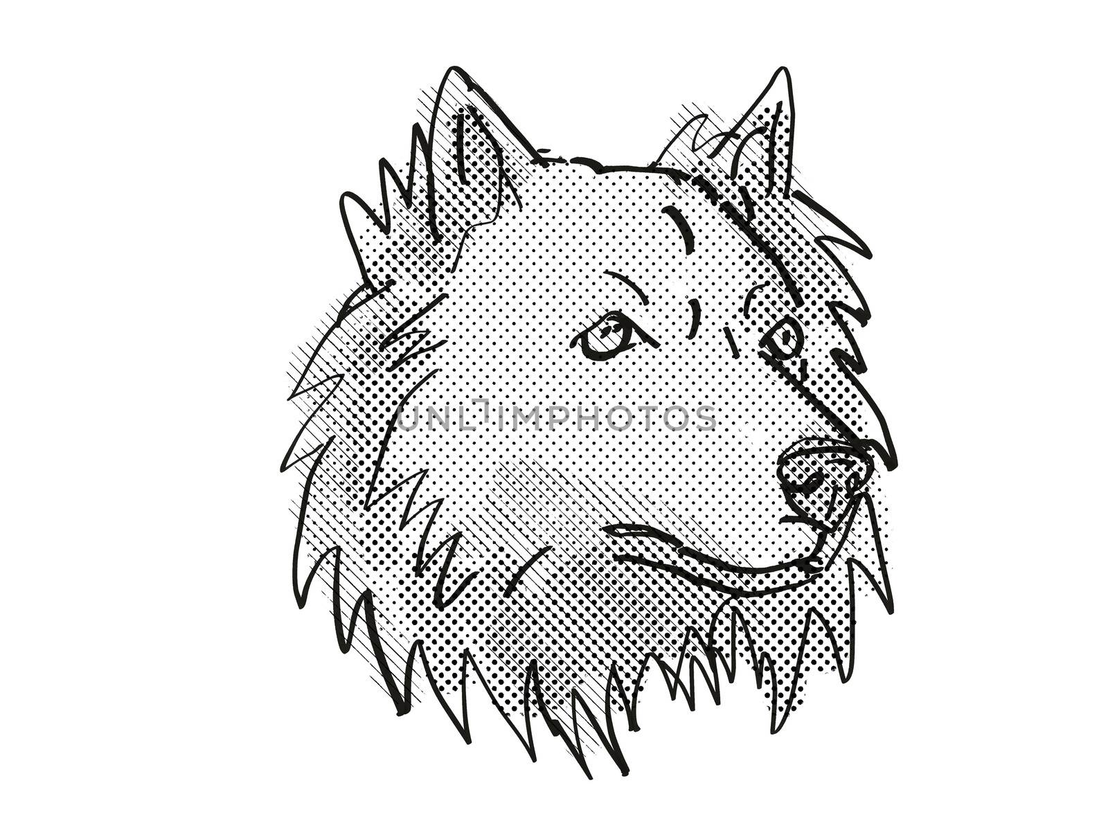 Chusky mixed breed Dog Breed Cartoon Retro Drawing by patrimonio