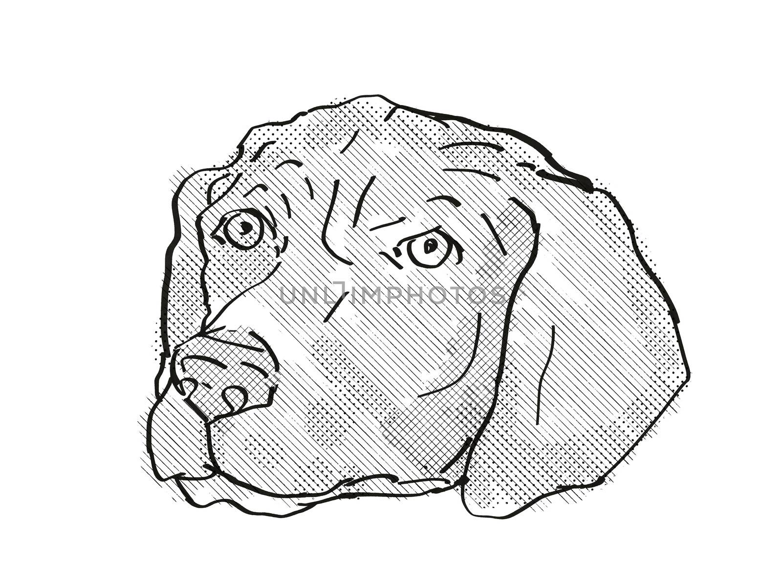 German Shorthaired Pointer Dog Breed Cartoon Retro Drawing by patrimonio