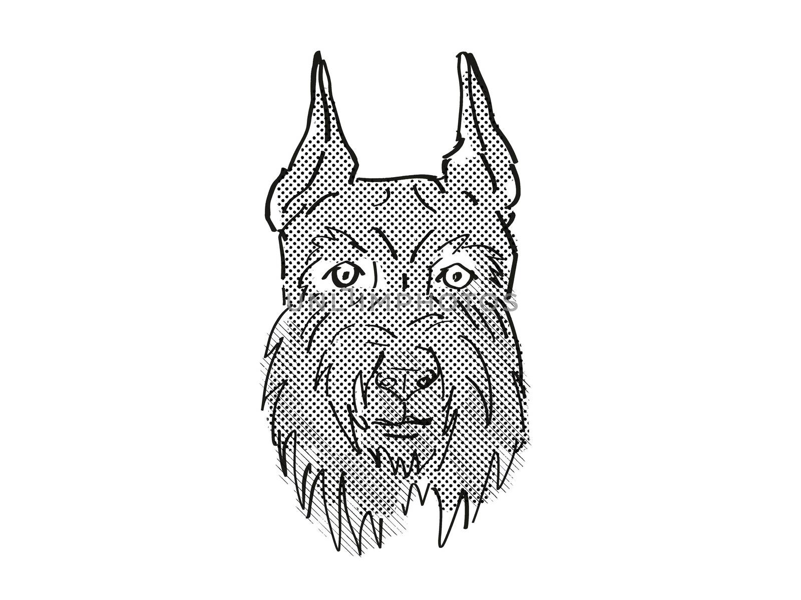 Giant Schnauzer Dog Breed Cartoon Retro Drawing by patrimonio