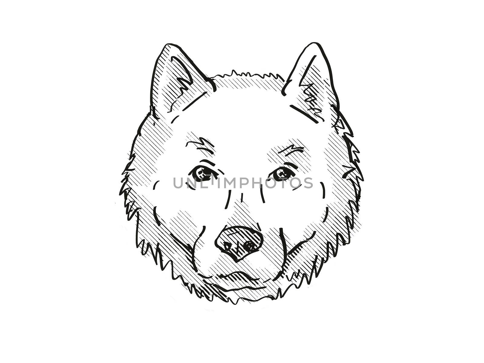 Retro cartoon style drawing of head of a Hokkaido, Ainu-ken, Seta, or Ainu dog, a domestic canine breed on isolated white background done in black and white.