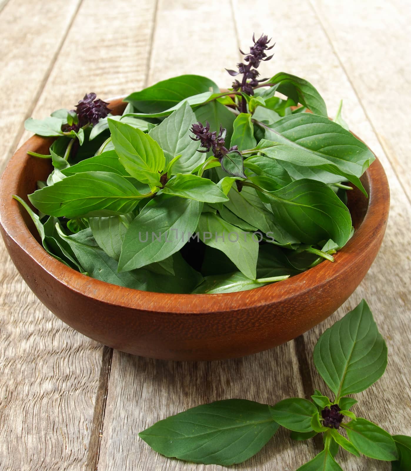 basil leaf in wooden bowl on table