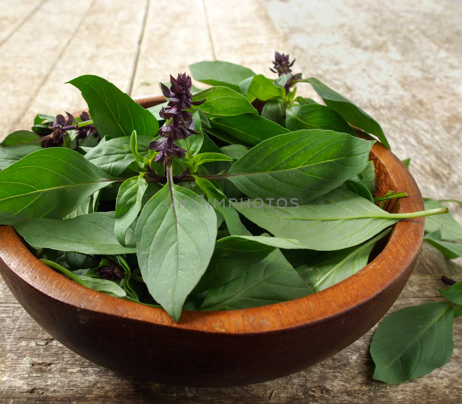 basil leaf in wooden bowl on table