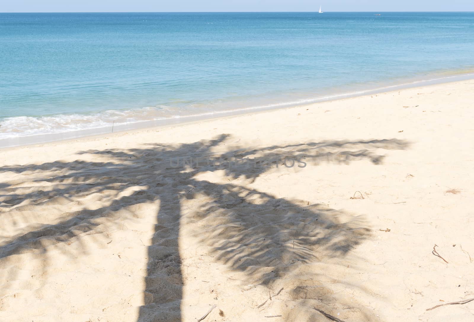 Shadow of the coconut palm trees on the beach.