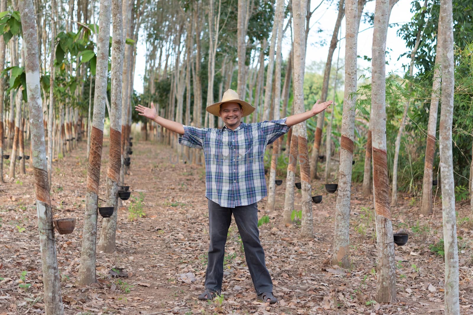 Farmer agriculturist Rubber tree plantation by PongMoji
