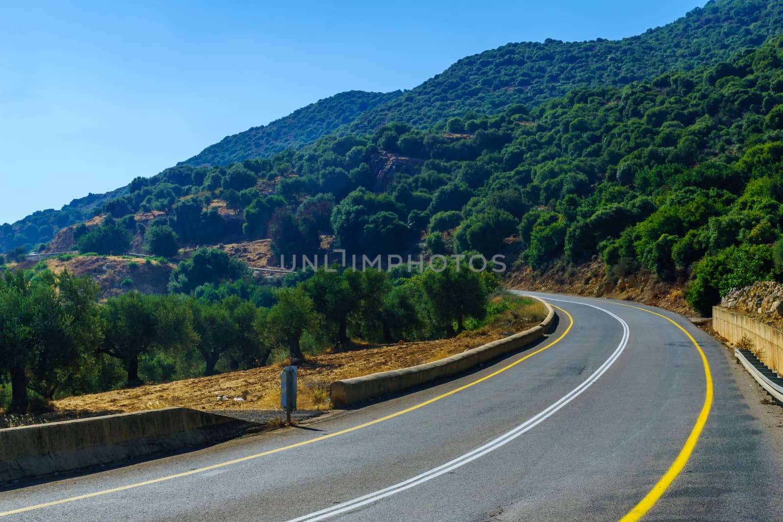 View of road and landscape in the upper galilee, northern Israel