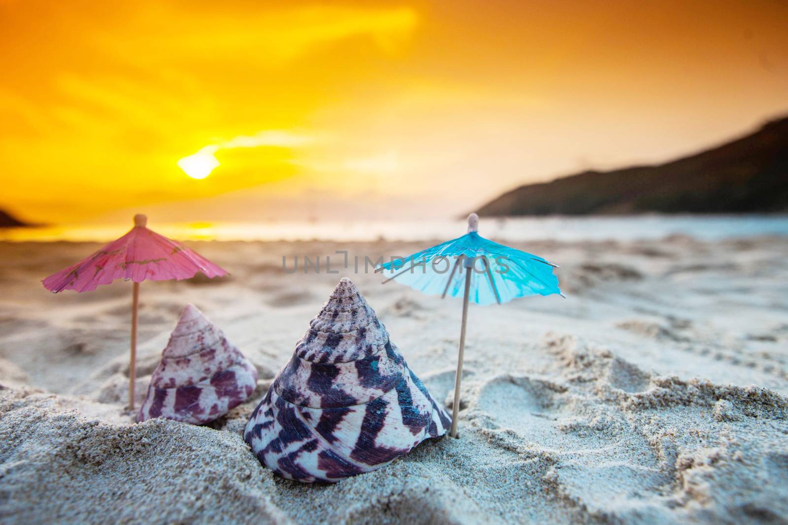 Shells and paper cocktail umbrellas on sand of beach at sunset tropical vacation concept