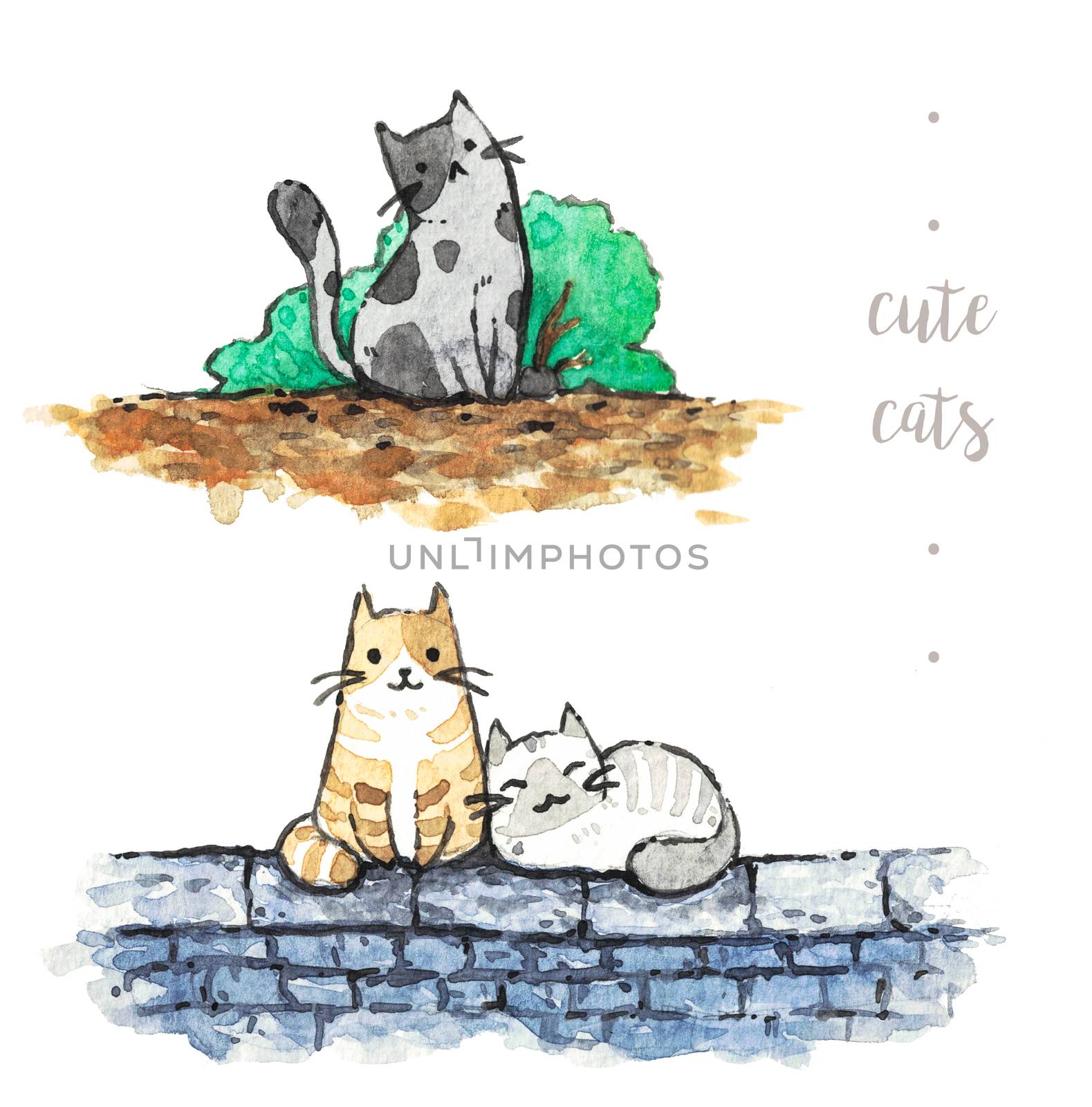 cute cats on white background by Ungamrung