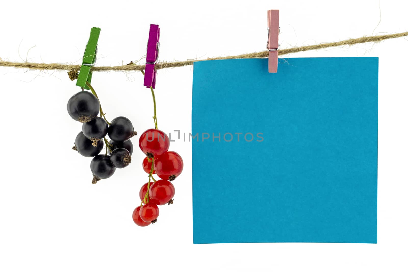 Fresh fruit hanging from clothes pegs on a rope with a red and black currants and and blank sticky note isolated on white with copyspace