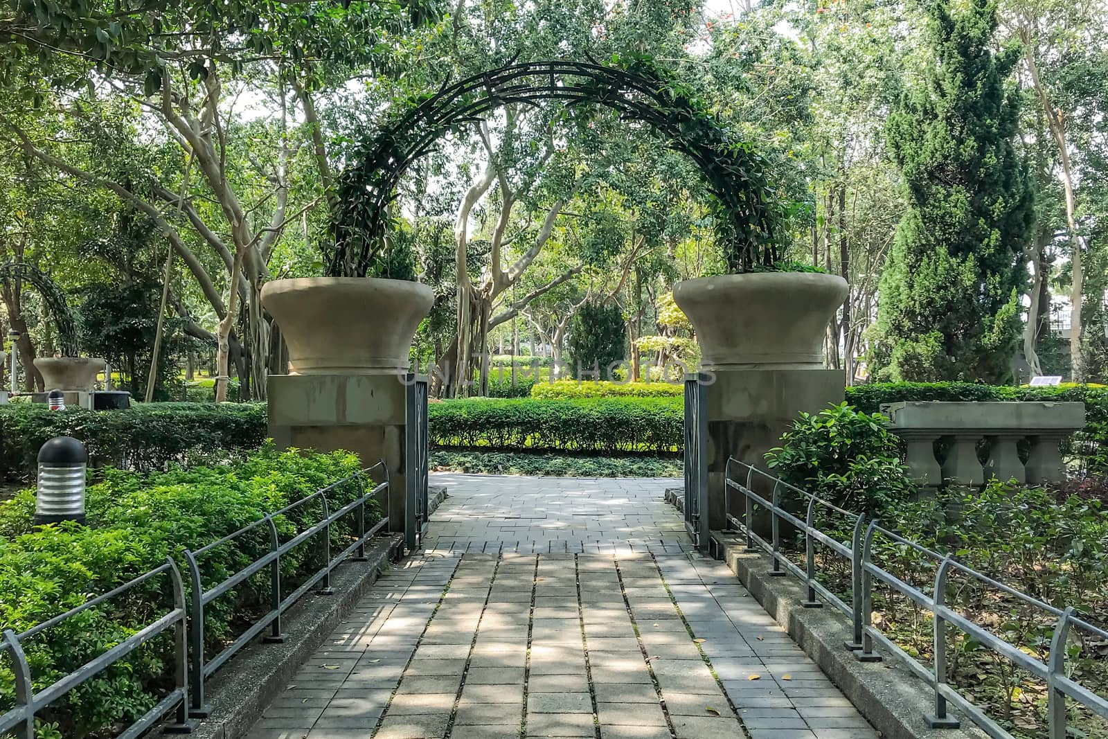 The outdoor footpath, green plant decoration, plant and tree in the park