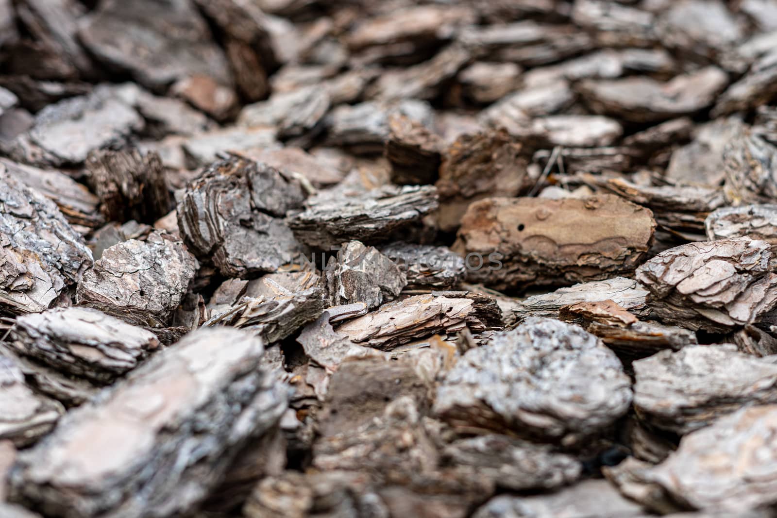 Finely chopped oak bark. Decorative design with bark. Close up by Serhii_Voroshchuk