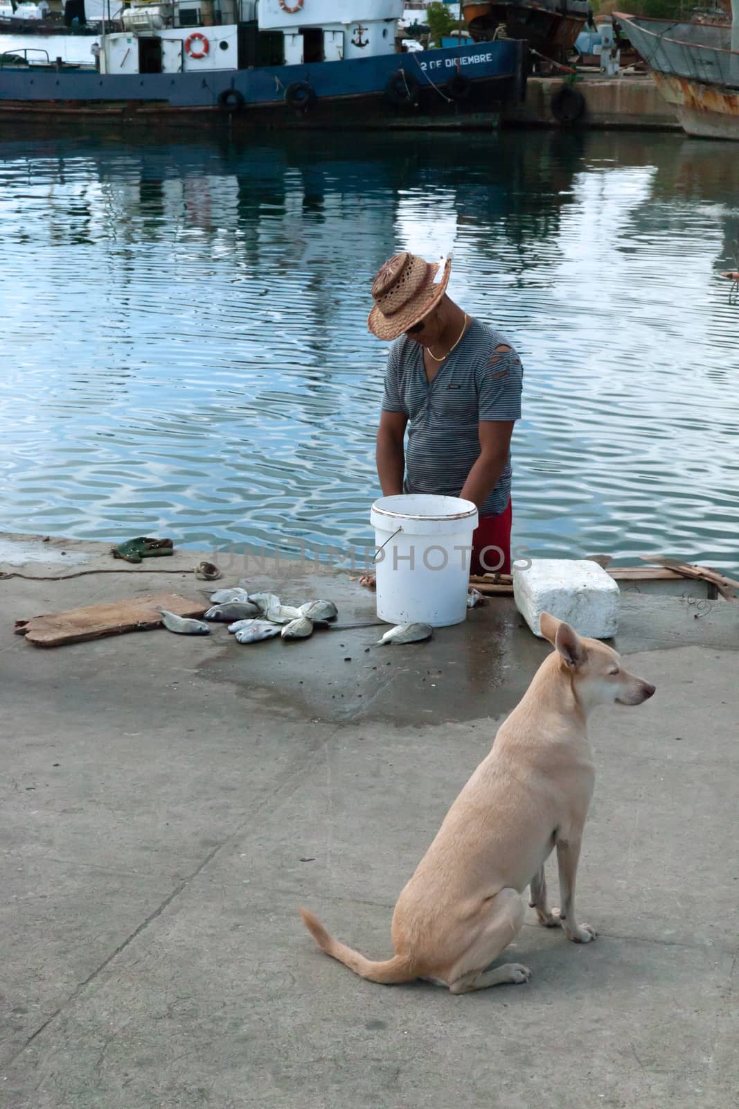 Cienfuegos, Cuba - 1 February 2015: Fisherman with a dog working on a pier