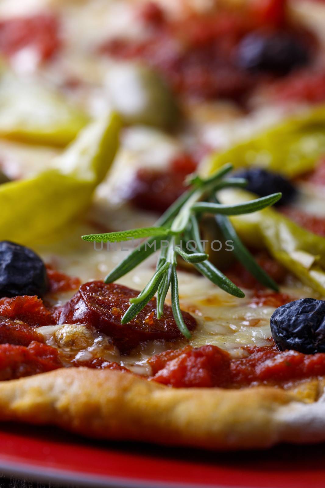 pizza with rosemary by bernjuer
