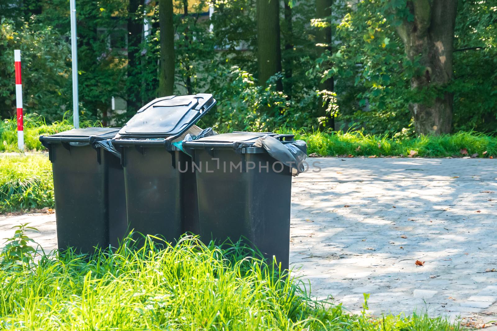 Plastic bin, public garbage container.  trash disposal around pathway. ecology conception of rubbish collect and recycling. Concept of earth protect and environmental eco awareness to reduce pollution