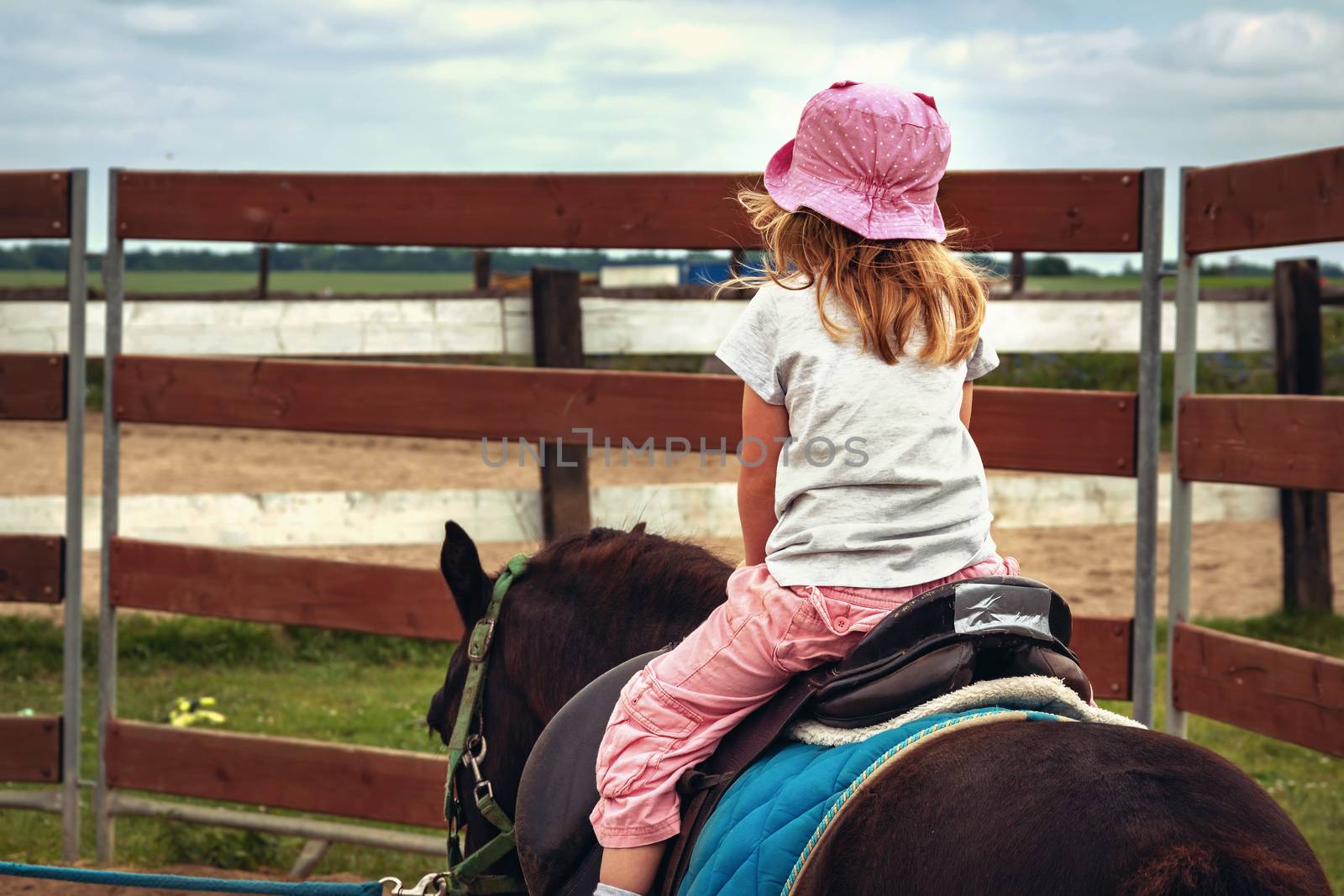 Pony riding, young girl as a horseback jockey rear view. female child as a horse rider. equestrian ride lesson for little kids. back view of sport and recreation with equine or stallion. Active hobby.