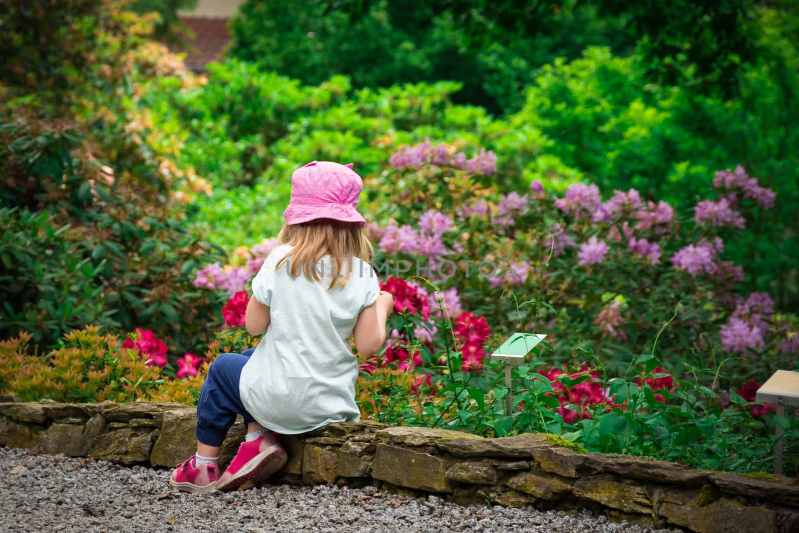 Girl child relaxing in  flower garden rear view. Adorable little kid sitting around growing flowery. Young caucasian female child outside enjoy morning rest in colourful, idyllic and tranquil place.