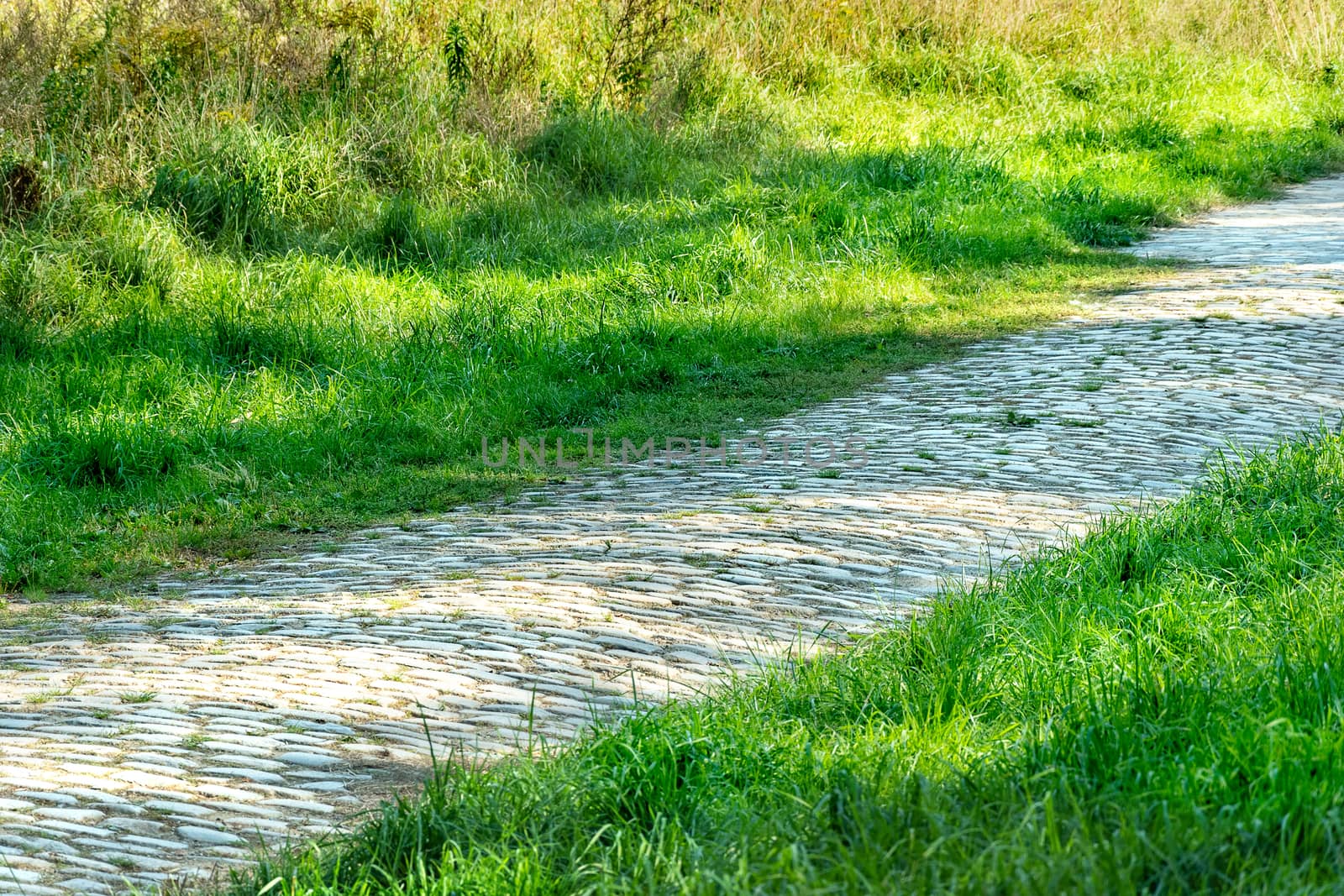 Path or sidewalk made with rock blocks near lawn. straight pathway in the midst of grassland. pebble walk way in backyard. old cobbled footpath among green grass. grey walkway landscaping photography.