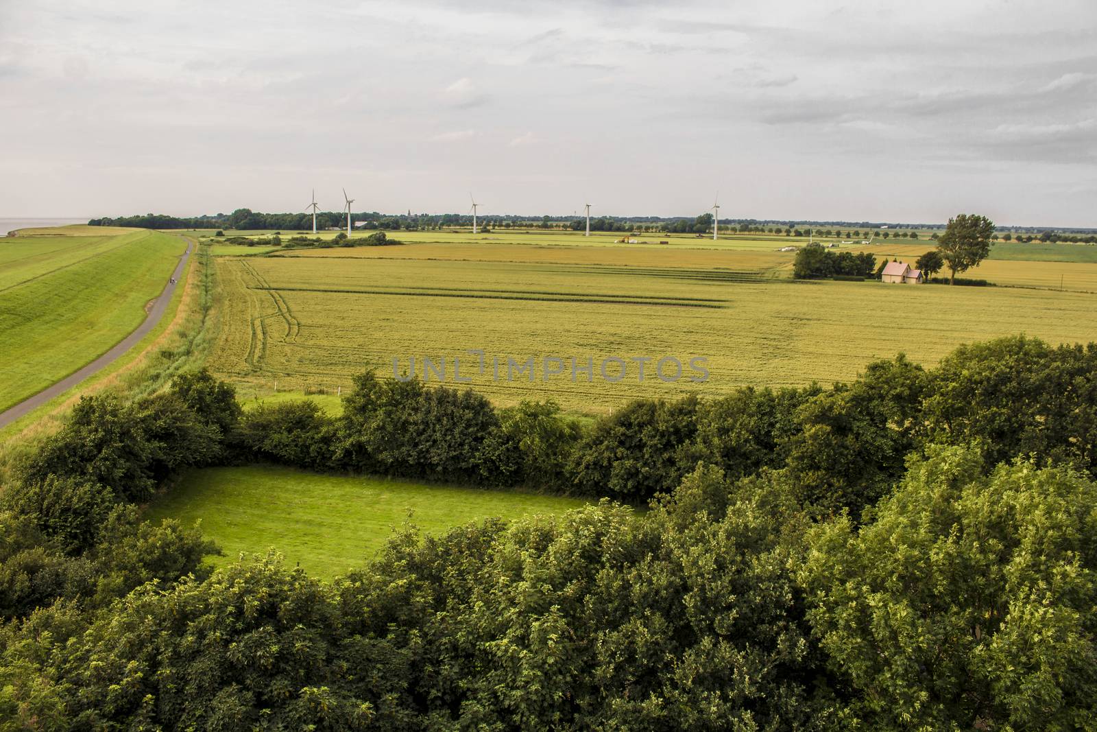 Landscape with fields in the north of Germany. by Arkadij