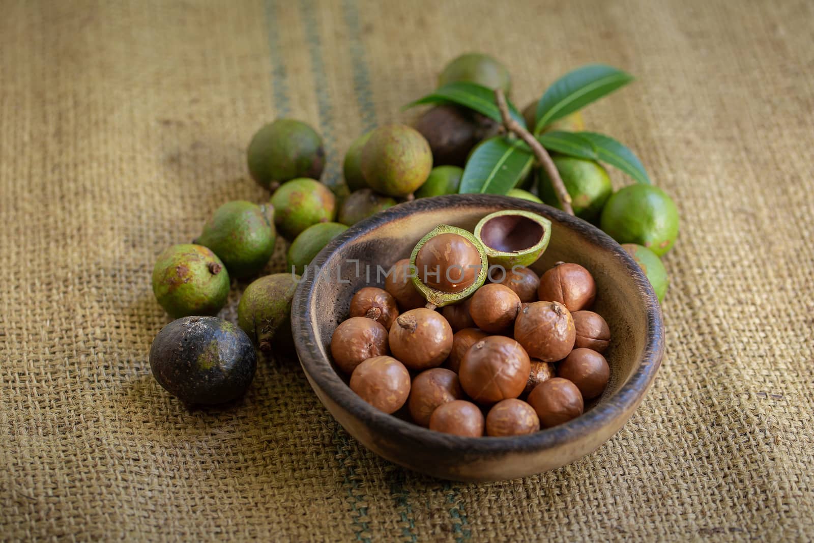 Macadamia nuts on sacks in natural light.