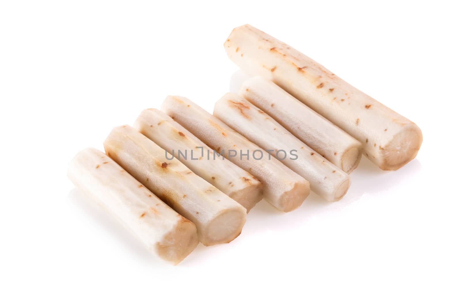 Fresh Burdock roots isolated on white background.