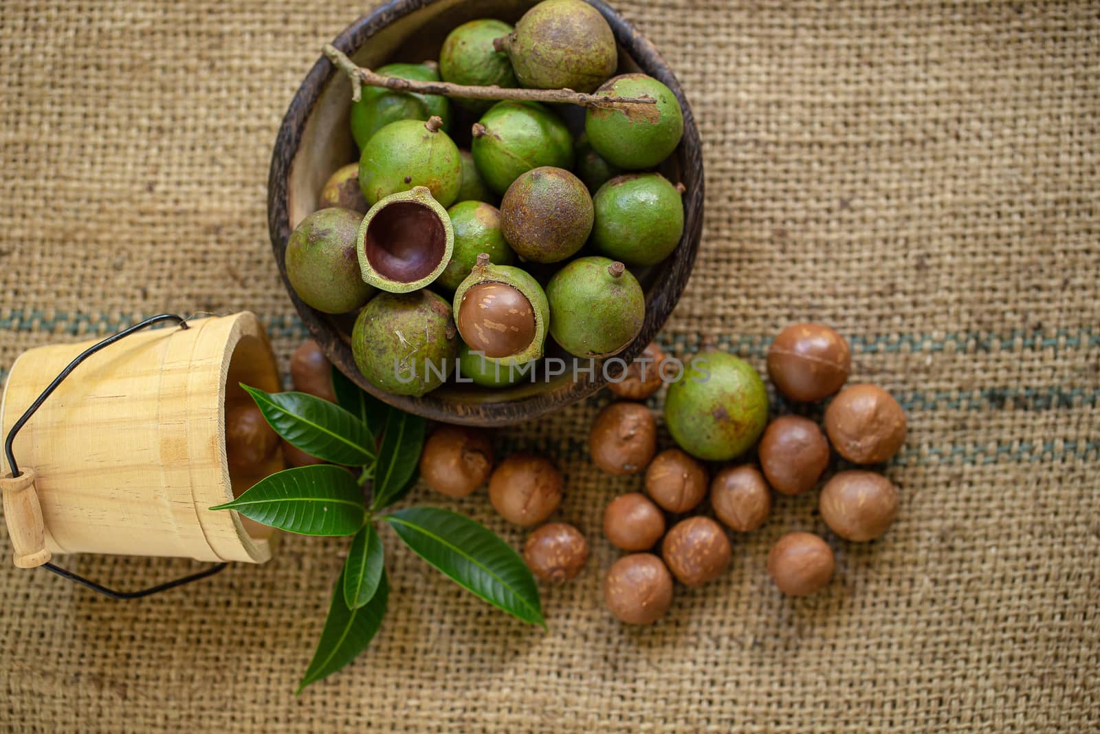 Macadamia nuts on sacks in natural light by kaiskynet