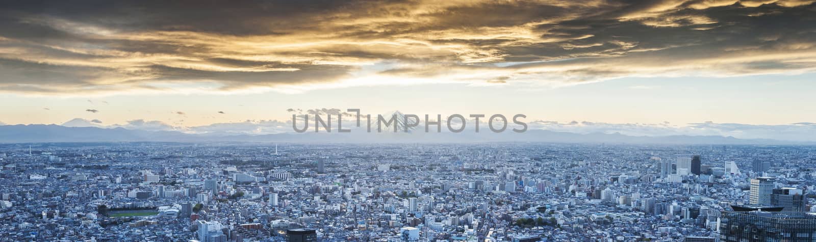 Mt.Fuji covered with snow and Japan cityscape on the sky in twilight